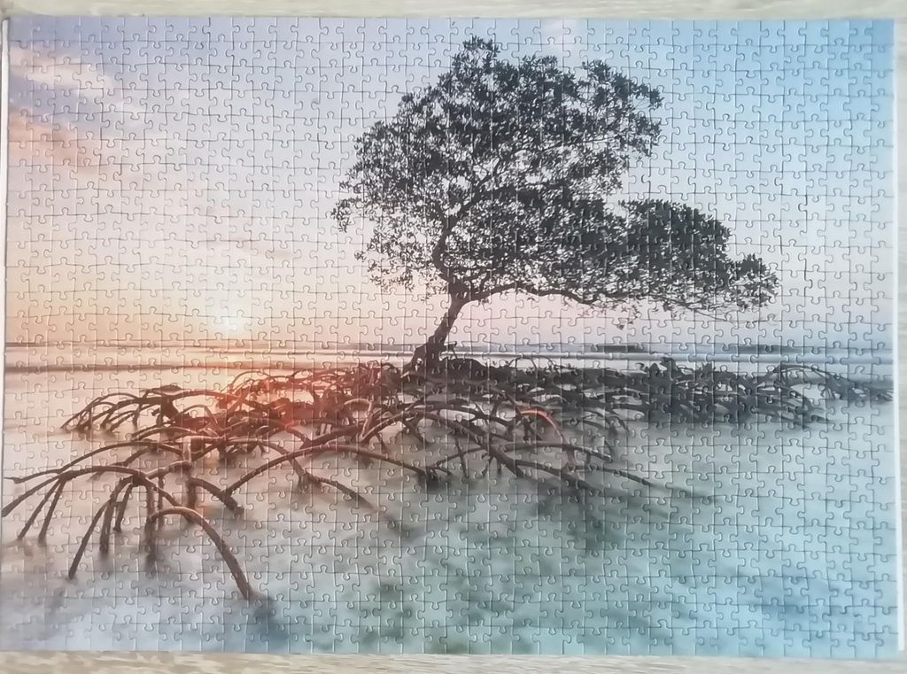 Obrazek puzzli