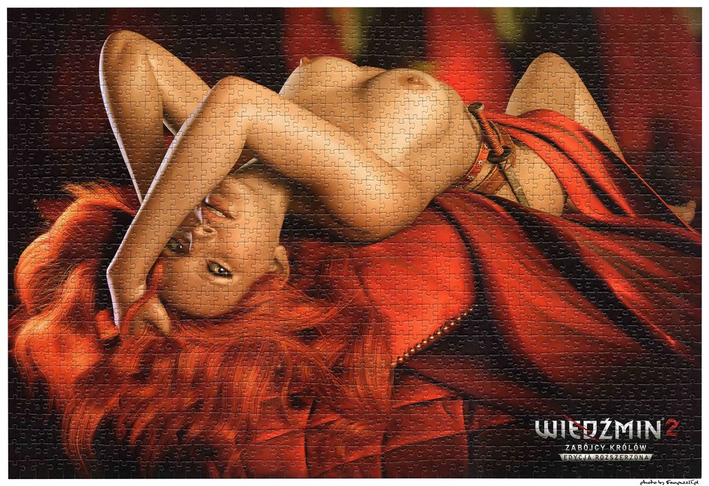 Powiększony obrazek puzzli