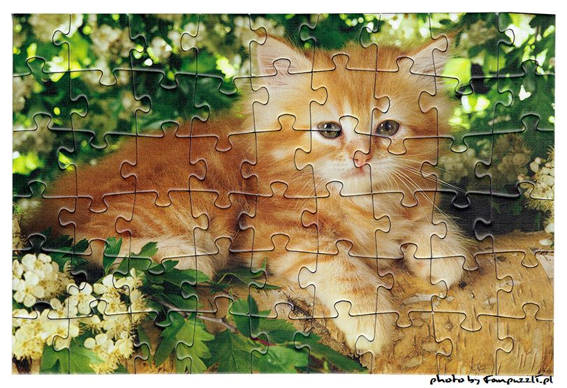Obrazek puzzli