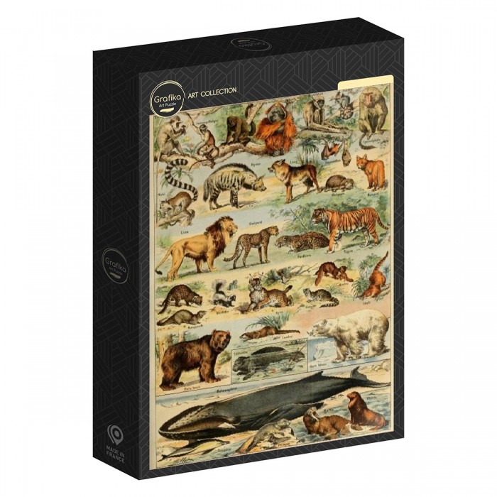 Mammals, 19th Century