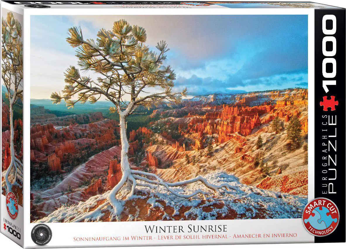 Winter Sunrice