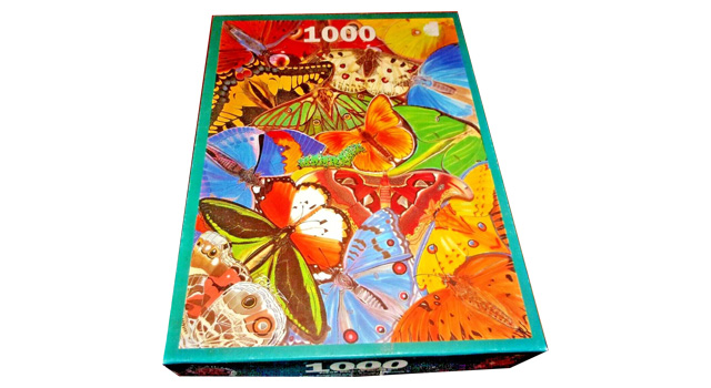 Exotic Butterflies
