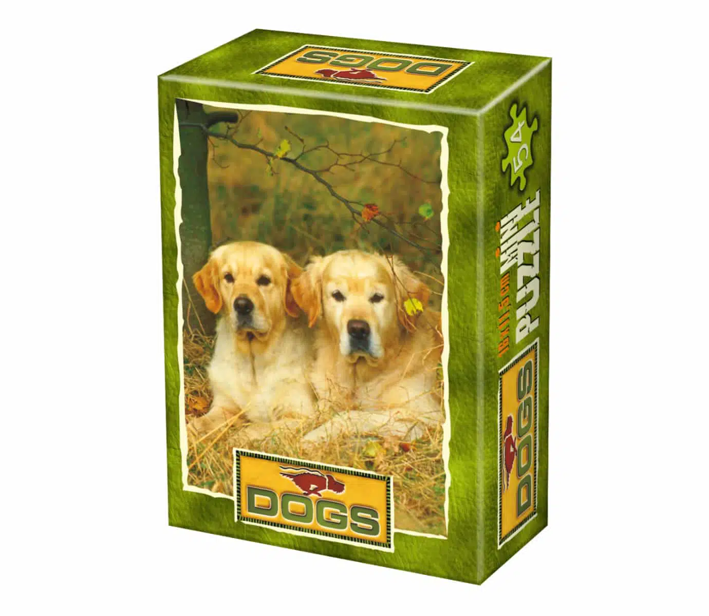 Labradors