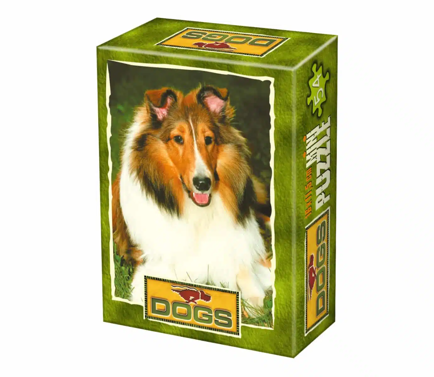Scottish Sheepdog
