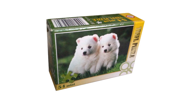 Japanese Spitz Puppies