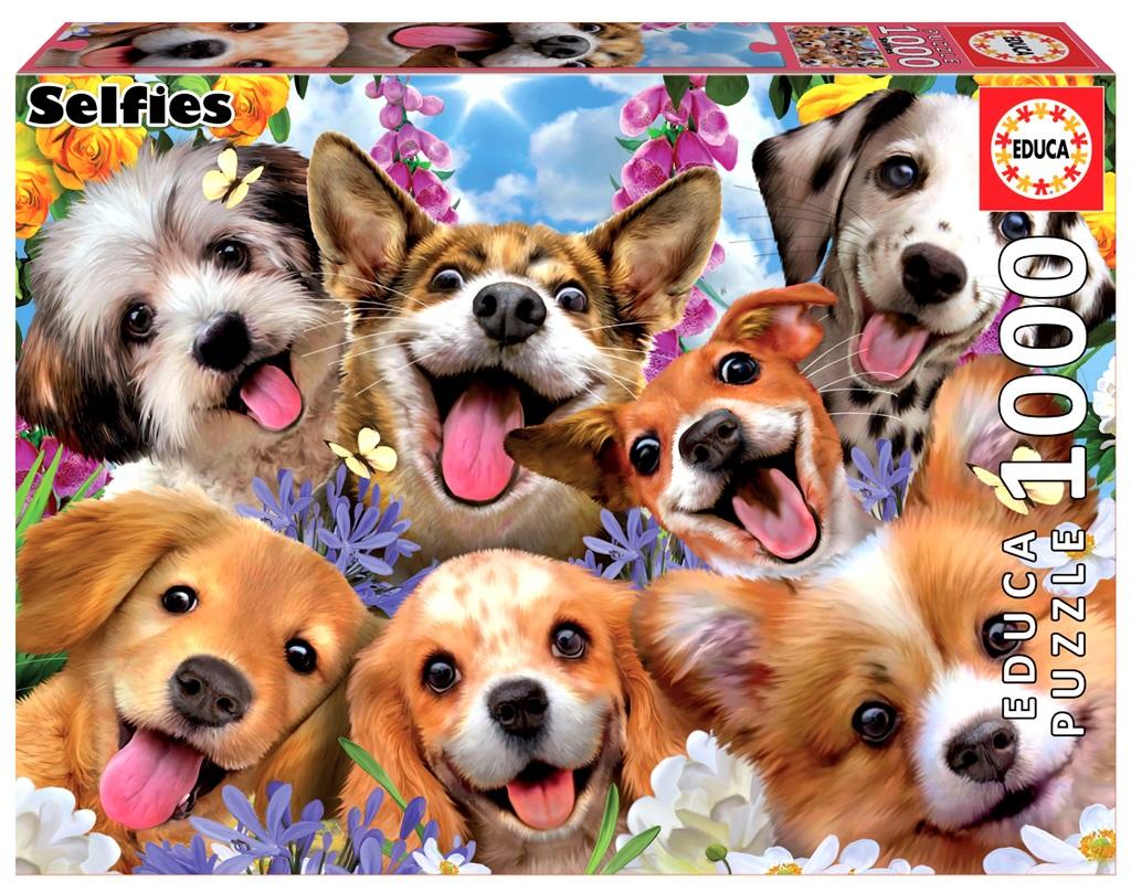 Puppies