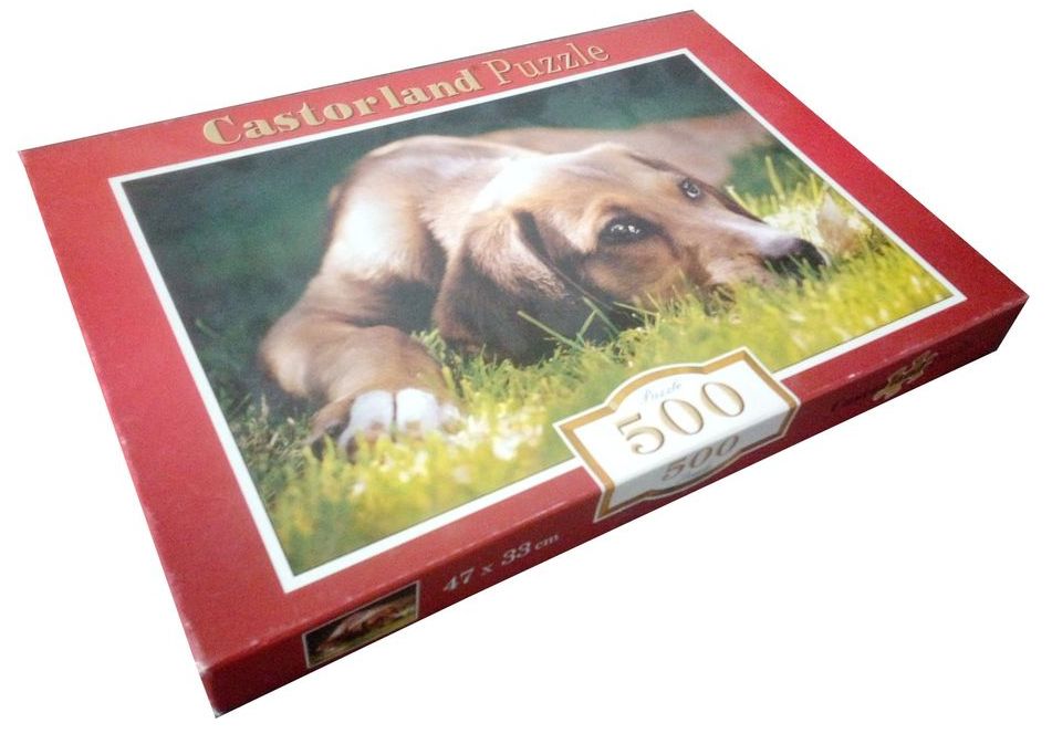 Dog