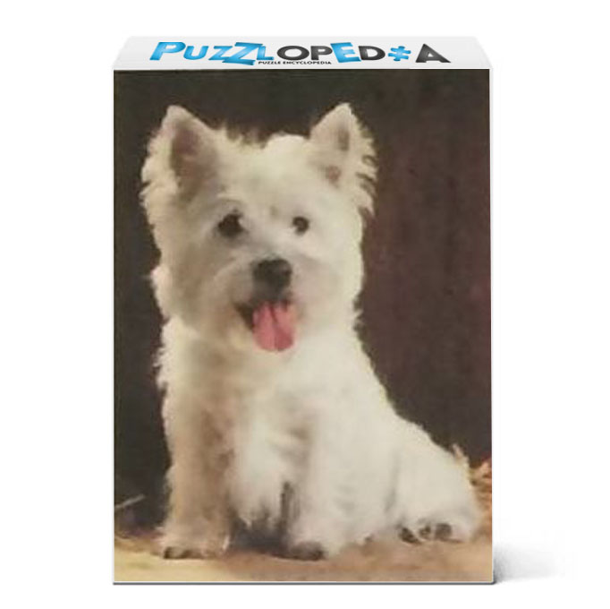 West Highland White Terrier