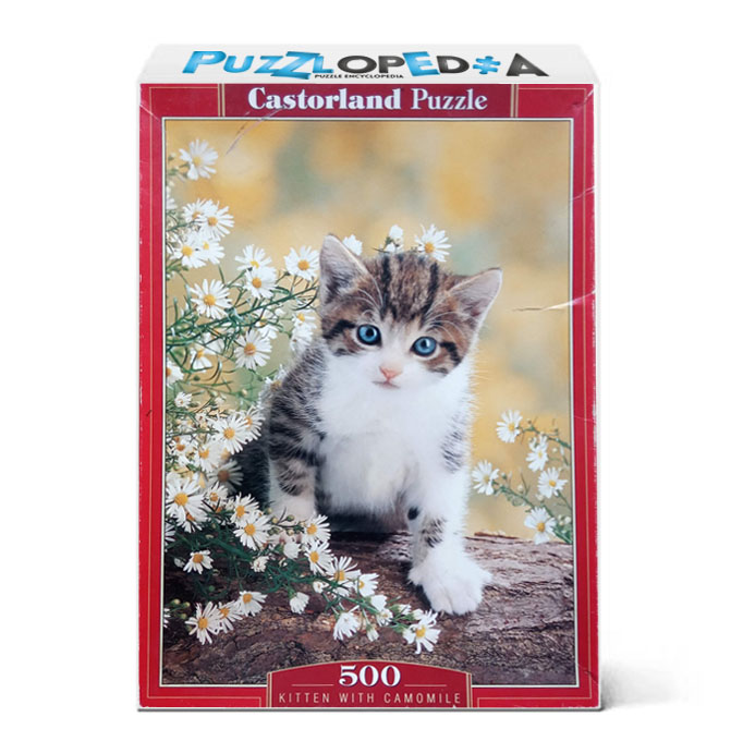 Kitten With Camomile