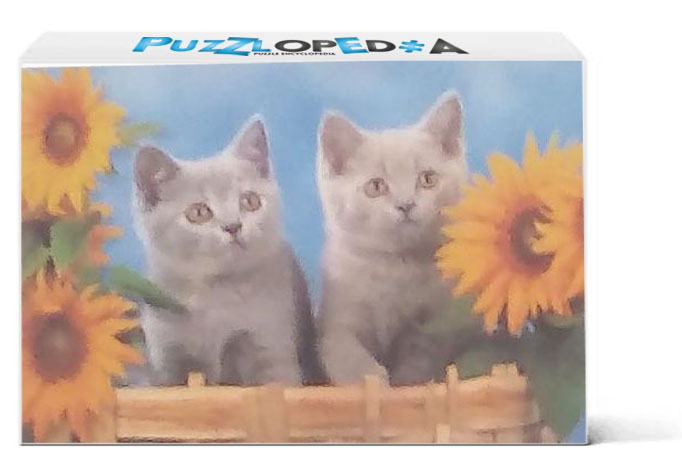 Kittens With Sunflowers