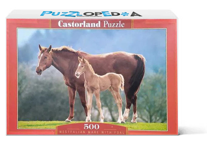 Westfalian Mare With Foal