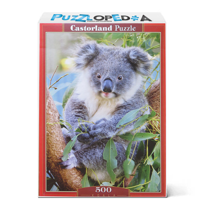 Koala