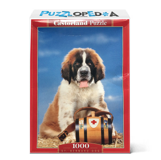 St. Bernard Dog