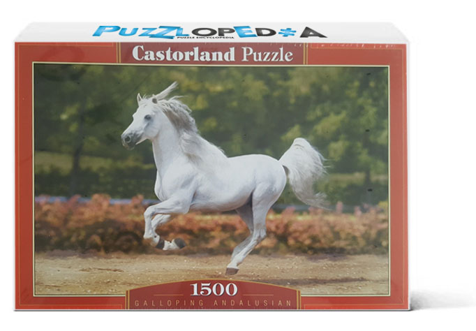 Galloping Andalusian