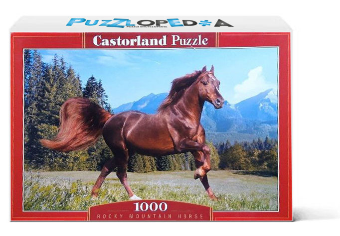 Rocky Mountain Horse