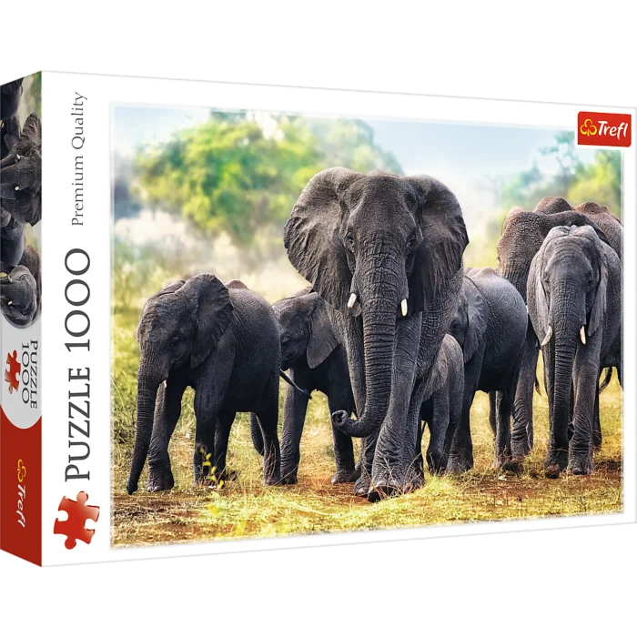 African Elephants
