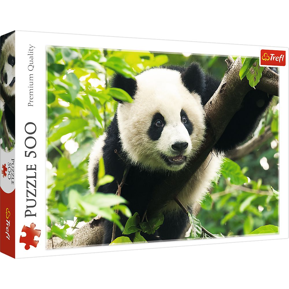 Giant Panda