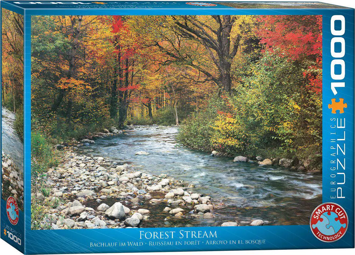 Forest Stream