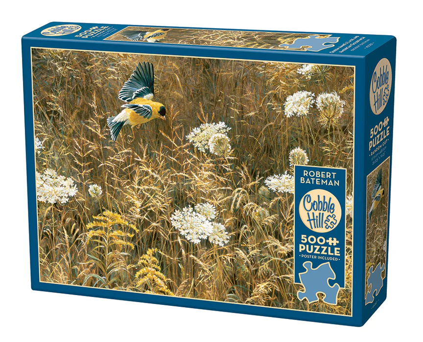Queen Anne'S Lace and American Goldfinch