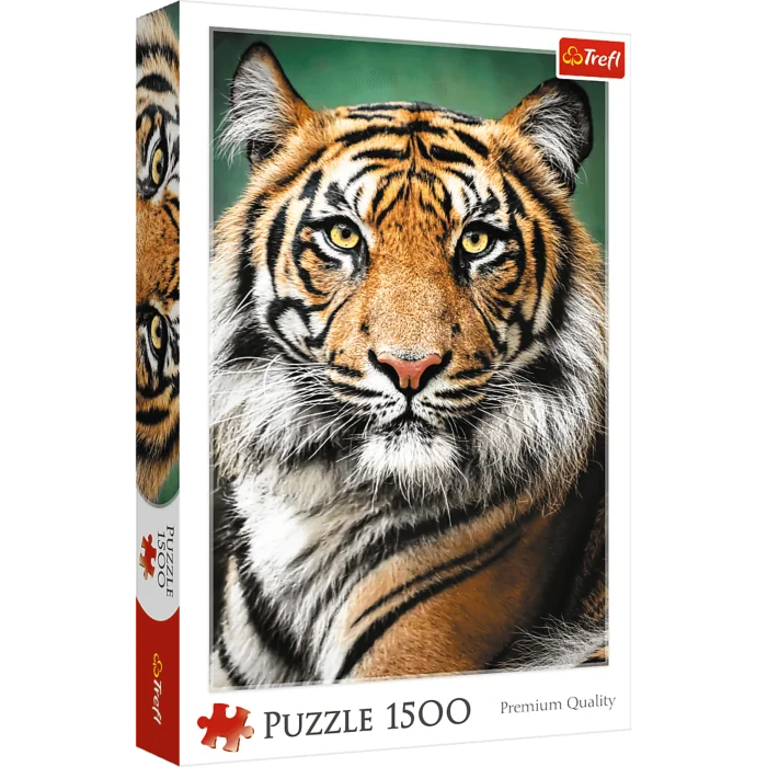 Portrait of a Tiger