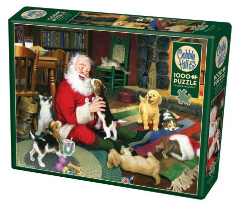 Santa'S Playtime