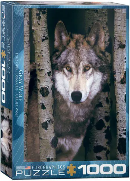 Gray Wolf