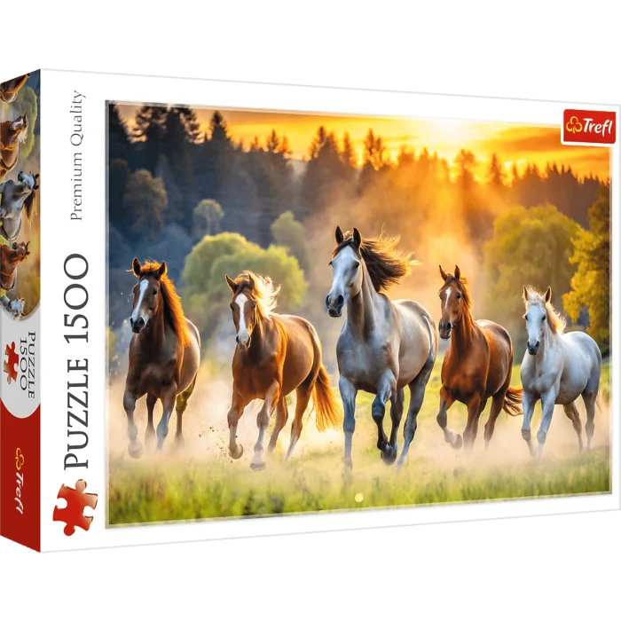 Wild Horses