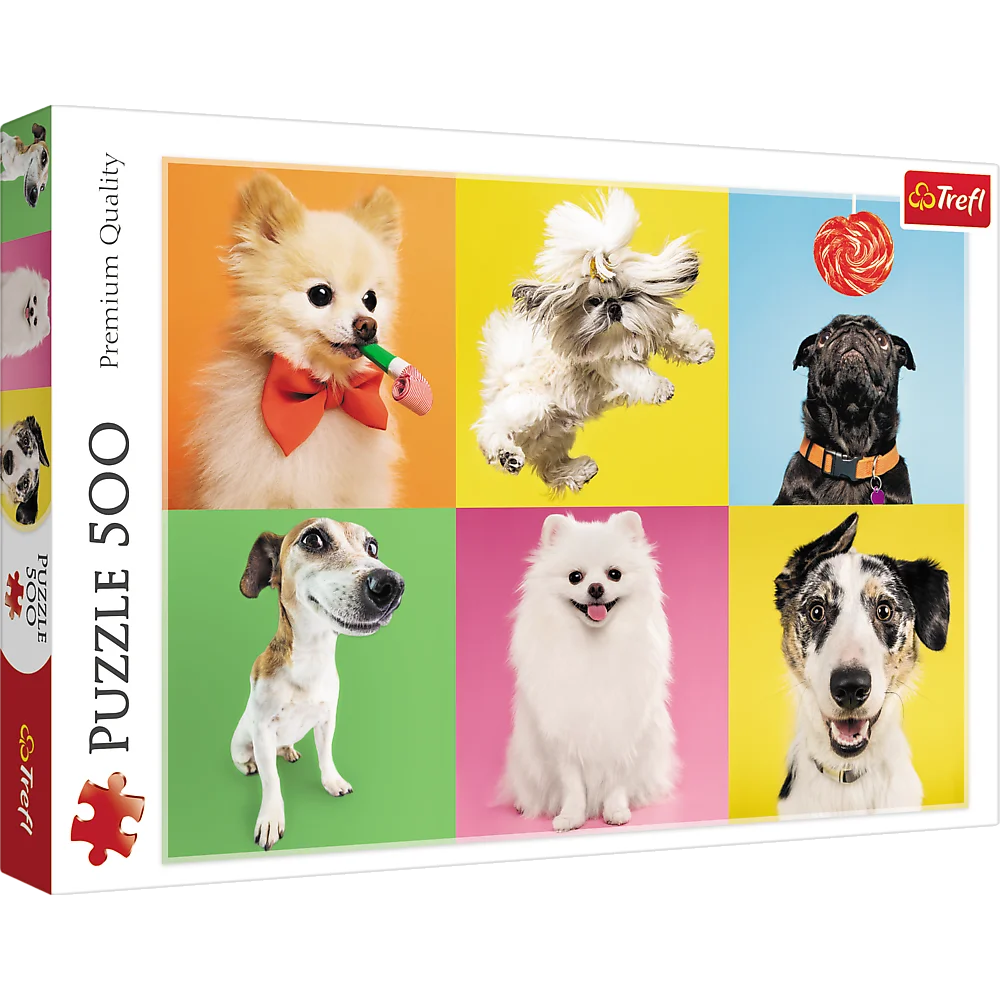 Dogs