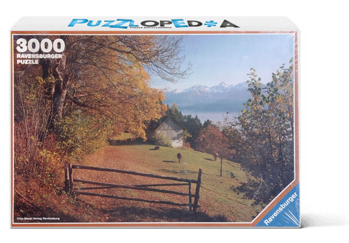 Summer in the Forest of Bregenz