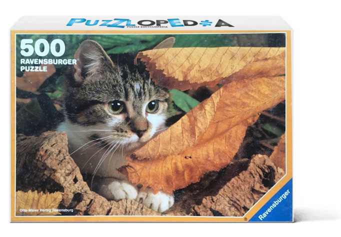 Kitten in the Autumn Woods