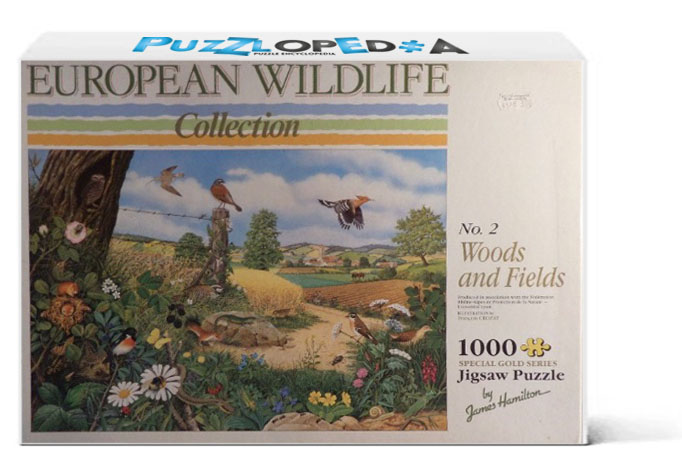 Woods and Fields No. 2