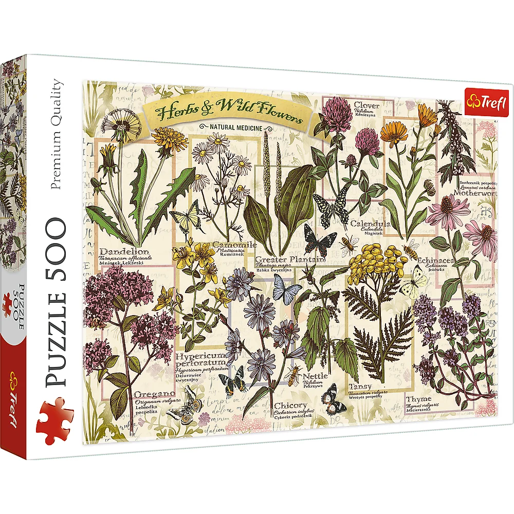 Herbarium: Medicinal Herbs