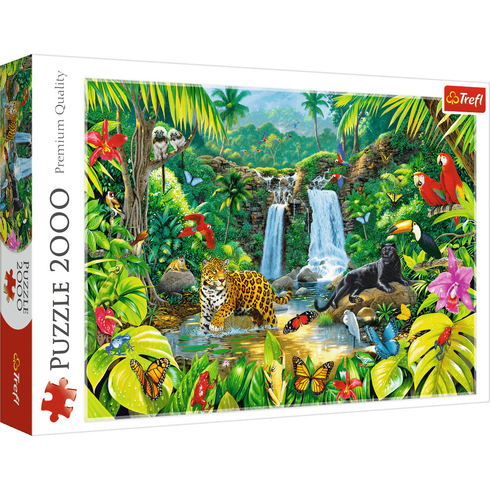 Tropical Forest