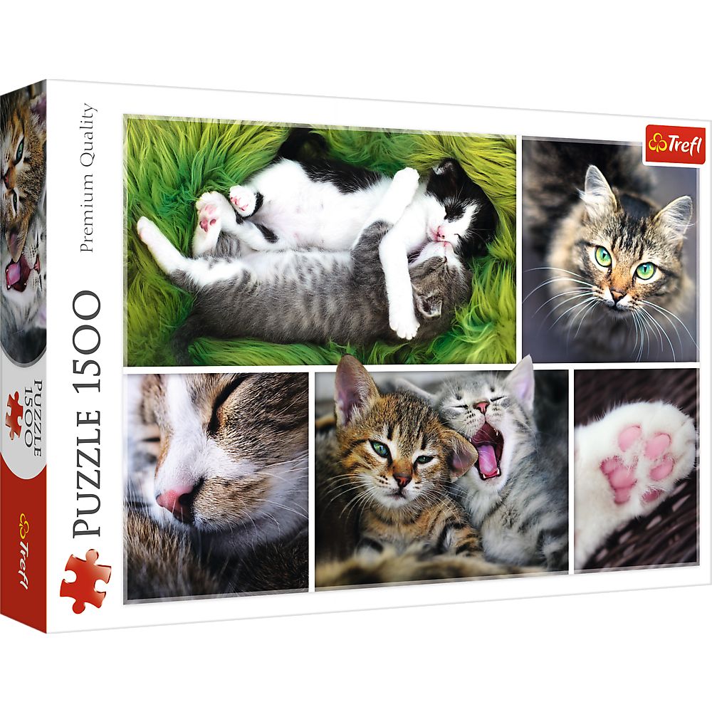 Just Cat Things - Collage