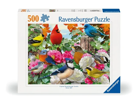 Garden Birds