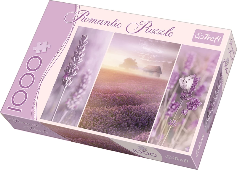 Lavender Fields