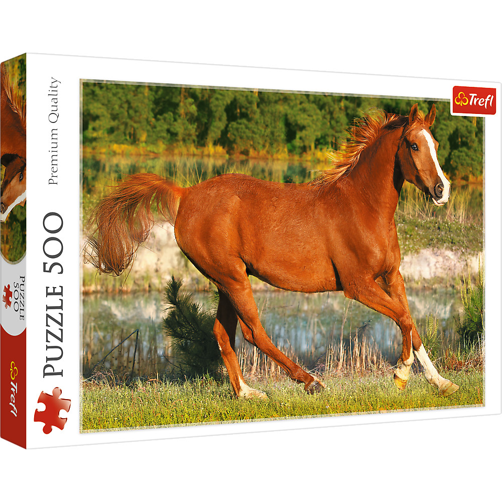 The Beauty of Gallop
