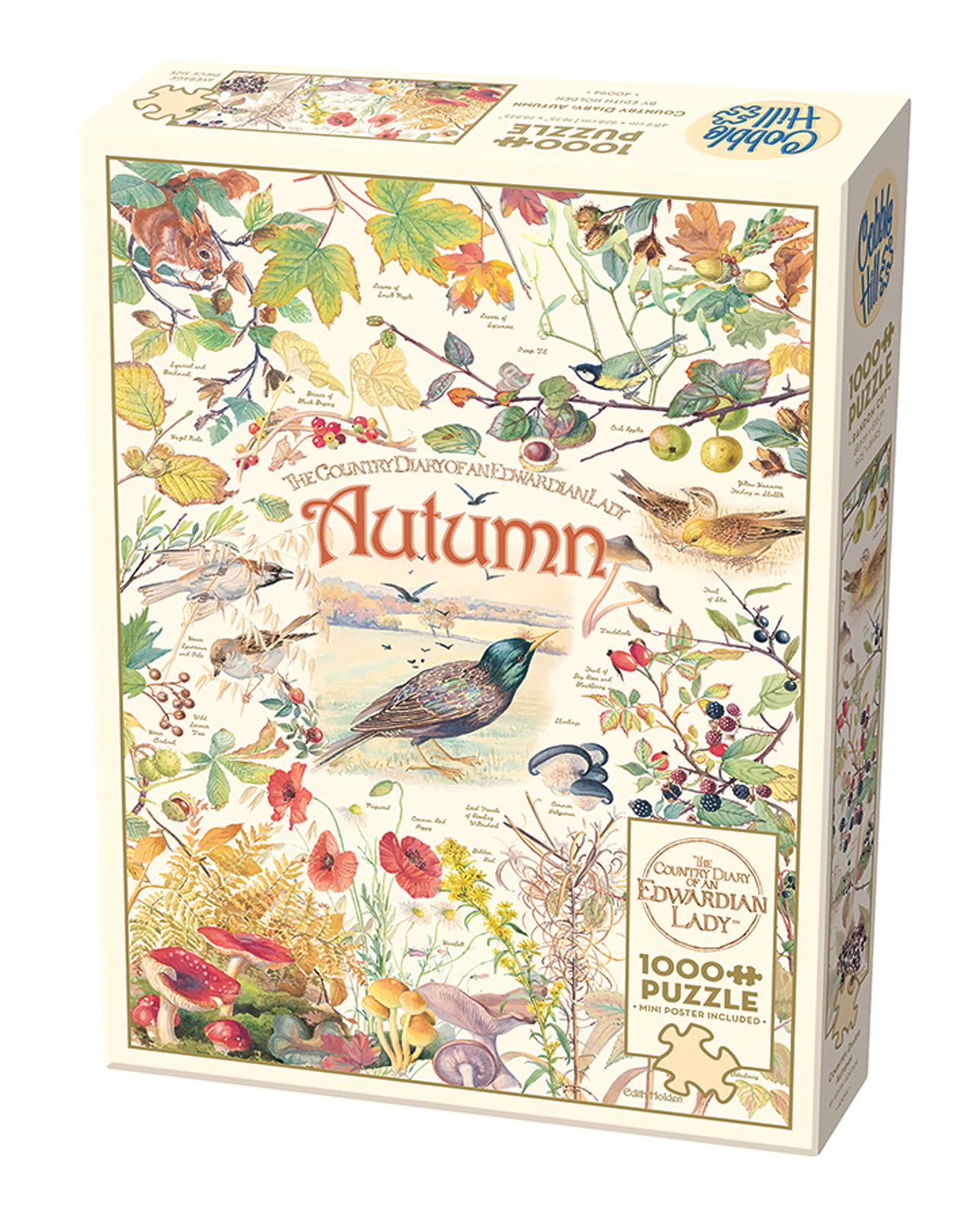 Country Diary - Autumn