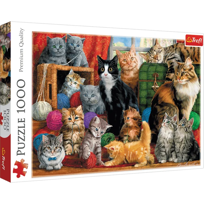 Cats Meeting