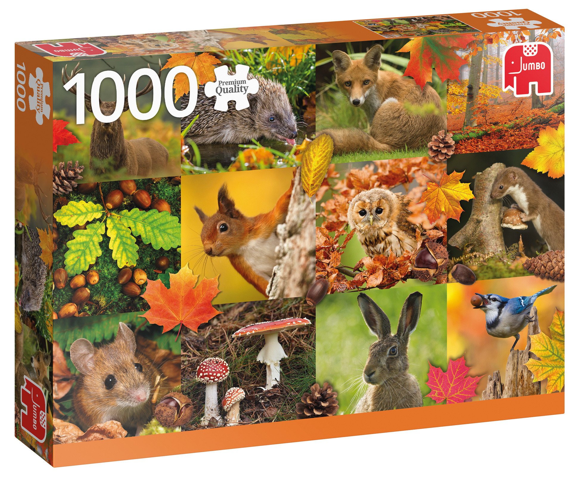 Autumn Animals