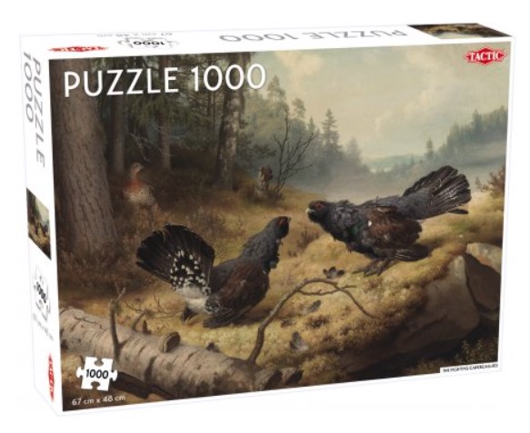 Fighting Capercaillies