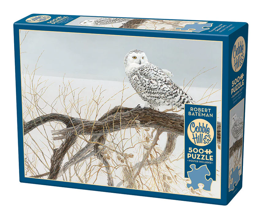 Fallen Willow - Snowy Owl