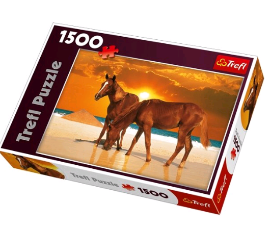 Horses on the Beach