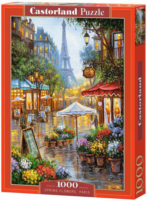 Spring Flowers, Paris