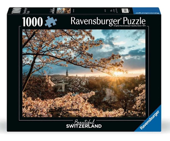 Cherry Blossoms in Bern