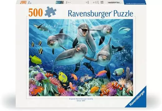 Dolphins in the Coral Reef